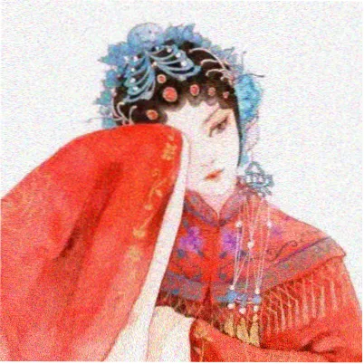 赵本山合作搭档头像
